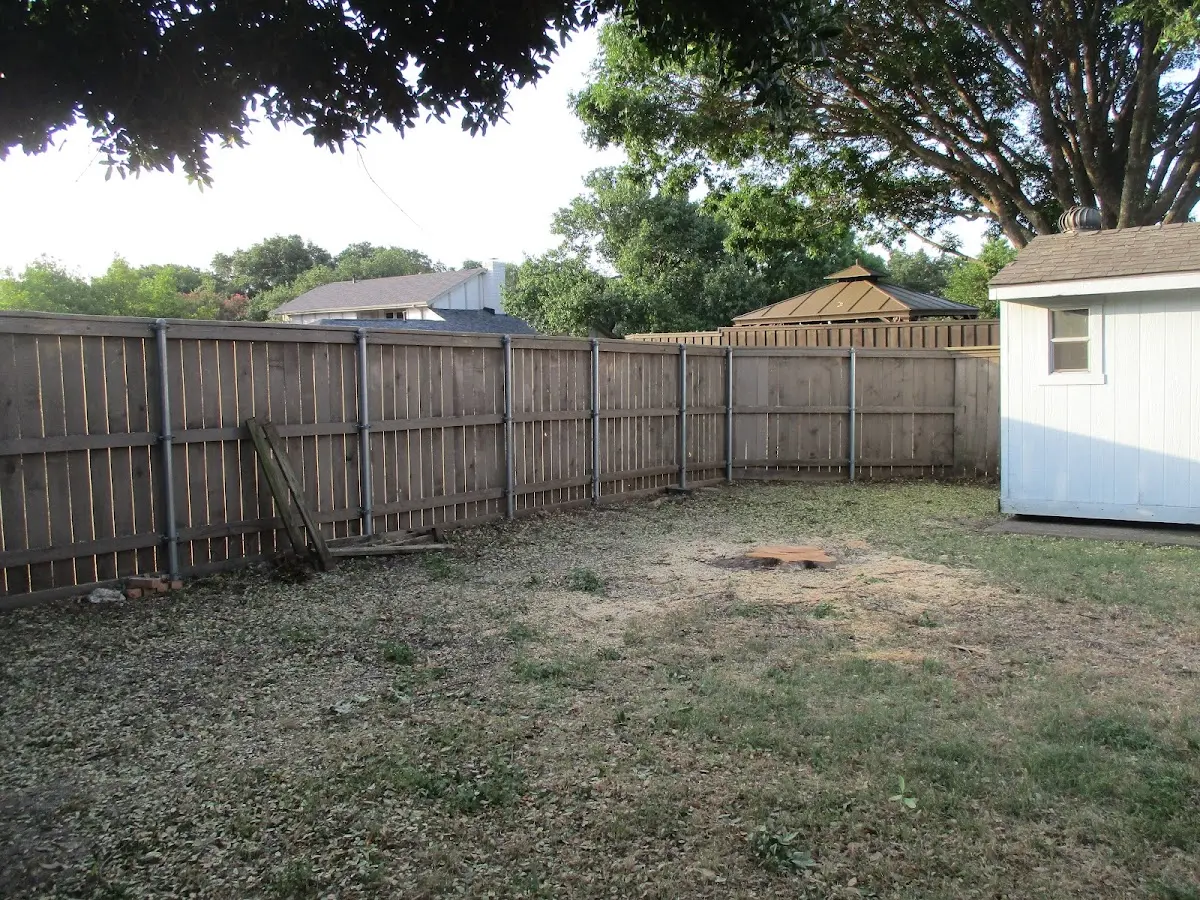Cleared yard after professional tree removal in Virgie